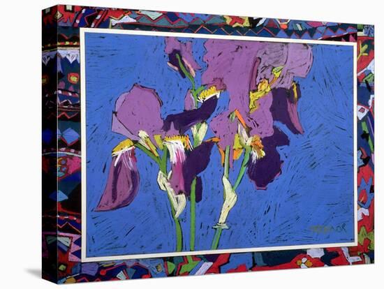 Flag Irises-Frances Treanor-Premier Image Canvas