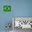 Flag Of Brazil-talitha-Stretched Canvas displayed on a wall