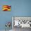 Flag of Catalonia-Yuinai-Stretched Canvas displayed on a wall