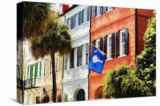 Flag Of Charleston With Palmetto And Crescent Moon-George Oze-Premier Image Canvas