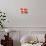 Flag of Denmark-null-Stretched Canvas displayed on a wall