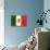 Flag of Mexico-null-Stretched Canvas displayed on a wall