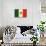 Flag of Mexico-null-Stretched Canvas displayed on a wall