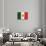 Flag of Mexico-null-Stretched Canvas displayed on a wall