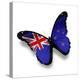 Flag Of New Zealand Butterfly, Isolated On White-suns_luck-Stretched Canvas