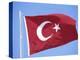 Flag of Turkey-Barry Winiker-Premier Image Canvas