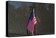 Flag Vietnam Veterans Memorial-null-Stretched Canvas