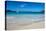 Flamand Beach, St. Barth (Saint Barthelemy), Lesser Antilles, West Indies, Caribbean, Central Ameri-Michael Runkel-Premier Image Canvas