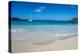 Flamand Beach, St. Barth (Saint Barthelemy), Lesser Antilles, West Indies, Caribbean, Central Ameri-Michael Runkel-Premier Image Canvas