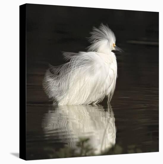 Flamboyant Flair-Wink Gaines-Stretched Canvas