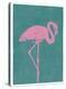 Flamboyant Flamingo-Clara Wells-Stretched Canvas
