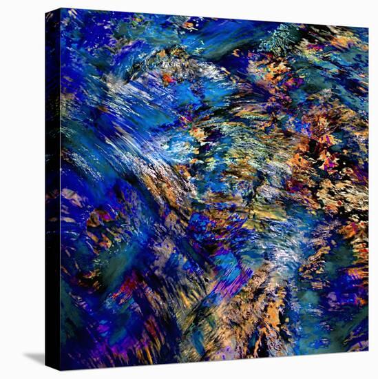 Flamboyant-Ursula Abresch-Premier Image Canvas