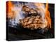 Flame Grilled Burgers on the Grill-Dean Sanderson-Premier Image Canvas