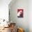 Flamenco Dancer, Polar Bear-null-Stretched Canvas displayed on a wall