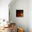 Flamenco Duotoned Chrysanthemum-Magda Indigo-Premier Image Canvas displayed on a wall