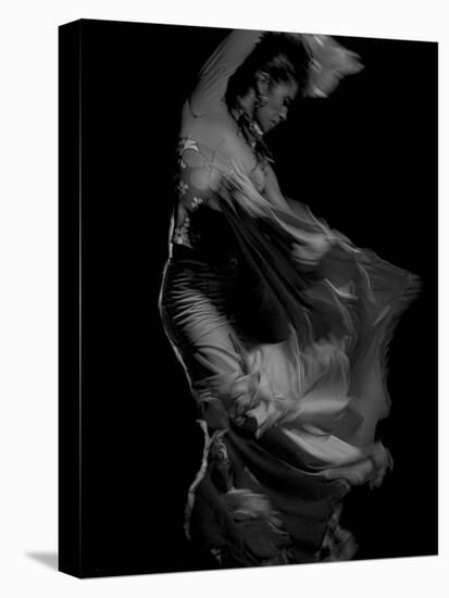 Flamenco-Tim Kahane-Premier Image Canvas