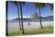 Flamengo Beach and Sugarloaf Mountain, Rio De Janeiro, Brazil-Ian Trower-Premier Image Canvas
