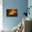 Flames From a Bonfire-Mark Williamson-Premier Image Canvas displayed on a wall
