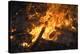 Flames From a Bonfire-Mark Williamson-Premier Image Canvas