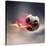 Flaming Soccer Ball-null-Premier Image Canvas