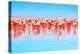 Flamingo Birds in the Lake Nakuru, African Safari, Kenya-Anna Om-Premier Image Canvas