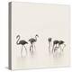 Flamingo Community III-Staffan Widstrand-Stretched Canvas