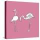 Flamingo Duo - Blush-Sandra Jacobs-Stretched Canvas