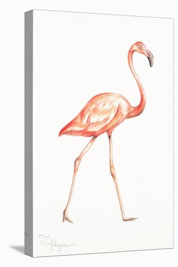 Flamingo Duo I-Tiffany Hakimipour-Stretched Canvas