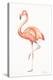 Flamingo Duo II-Tiffany Hakimipour-Stretched Canvas