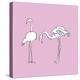 Flamingo Duo-Sandra Jacobs-Stretched Canvas