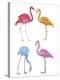 Flamingo Fandango I-Sandra Jacobs-Stretched Canvas