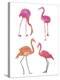 Flamingo Fandango II-Sandra Jacobs-Stretched Canvas