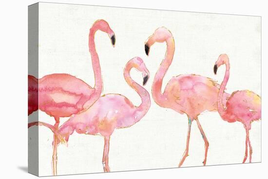 Flamingo Fever I no Splatter-Anne Tavoletti-Stretched Canvas