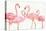 Flamingo Fever I no Splatter-Anne Tavoletti-Stretched Canvas