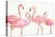 Flamingo Fever I no Splatter-Anne Tavoletti-Stretched Canvas