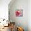 Flamingo Flower I-Alan Halliday-Stretched Canvas displayed on a wall