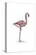 Flamingo - Icon-Lantern Press-Stretched Canvas