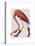 Flamingo in Pink Boots-Fab Funky-Stretched Canvas