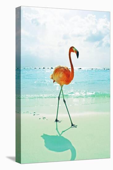 Flamingo on the Beach-Tai Prints-Stretched Canvas