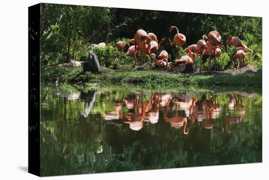 Flamingo Party-Steve Hunziker-Stretched Canvas