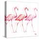 Flamingo Trio I-Tiffany Hakimipour-Stretched Canvas