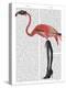 Flamingo with Kinky Boots-Fab Funky-Stretched Canvas