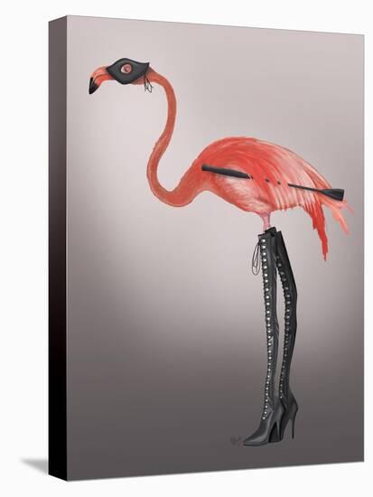 Flamingo with Kinky Boots-Fab Funky-Stretched Canvas