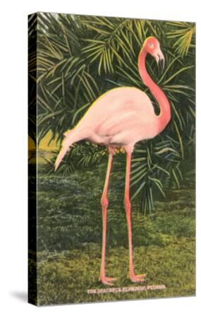 'Flamingo' Art Print | Art.com