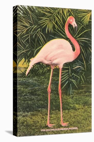 Flamingo-null-Stretched Canvas