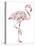 Flamingo-Louise Tate-Premier Image Canvas