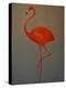 Flamingo-Lincoln Seligman-Premier Image Canvas