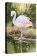 Flamingo-Unknown Unknown-Stretched Canvas