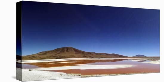 Flamingoes, Bolivian desert, Bolivia-Anthony Asael-Premier Image Canvas