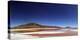 Flamingoes, Bolivian desert, Bolivia-Anthony Asael-Premier Image Canvas